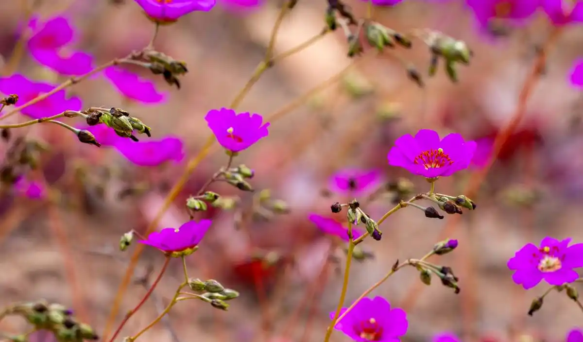图片[6] - 遇见你，是上天最美的缘分！爱上你，是灵魂最美的情思；你是我人间最值得的相遇 - 黑料吃瓜-最新娱乐八卦爆料平台-明星热点新闻实时更新