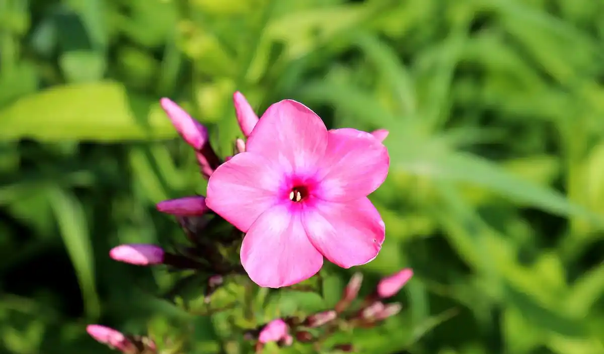 图片[8] - 遇见你，是上天最美的缘分！爱上你，是灵魂最美的情思；你是我人间最值得的相遇 - 黑料吃瓜-最新娱乐八卦爆料平台-明星热点新闻实时更新