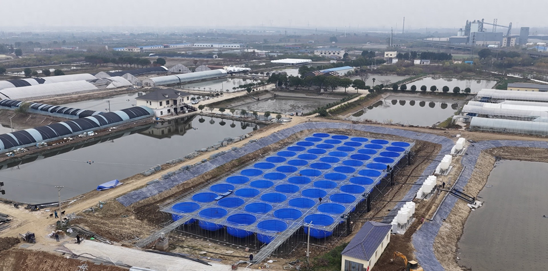 武汉蔡甸打造鱼儿健身馆，高品质健身鱼身价看涨，肉质更紧实